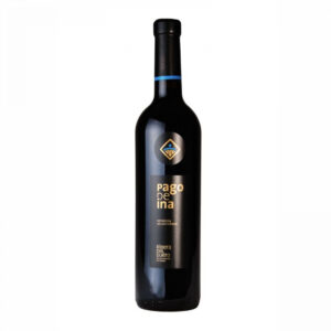Vino tinto Pago de ina (750 ml)