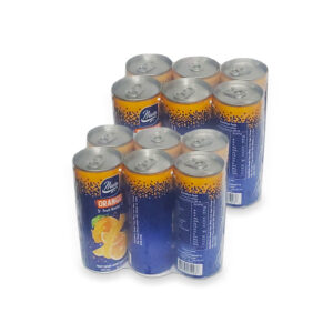 Néctar -jugo- sabor naranja Nova (12 x 250 ml)